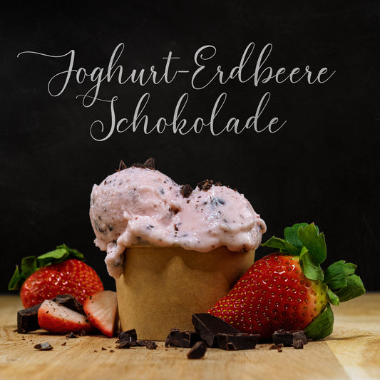 Joghurt-Erdbeere-Schokoladen Eis